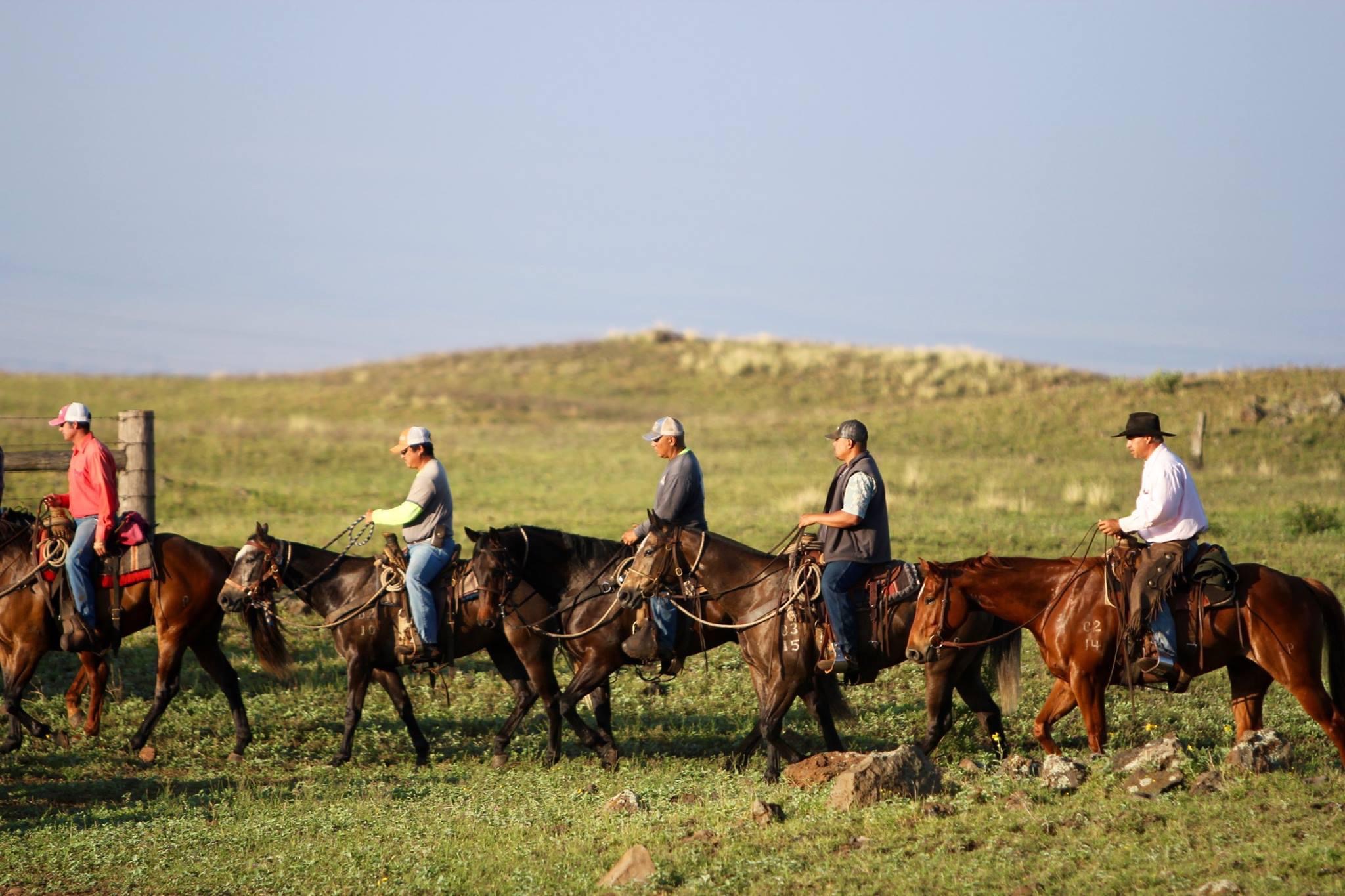 Working paniolo at Parker Ranch